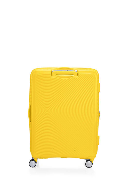 Curio luggage sales